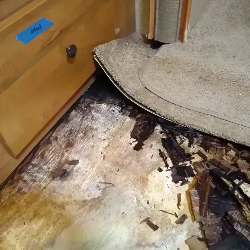 Wood Floor Water Damage in Roanoke, VA